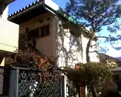 ハイム松の木