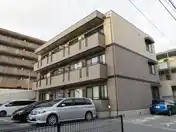 グレース5