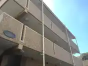ペリキート