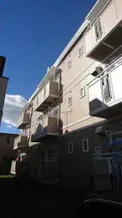 ニレシャンテD