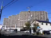 グランセリーナ