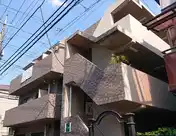 マイコート