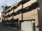 クリセントマム