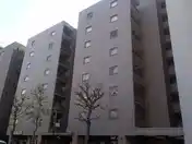 パティオ西早稲田