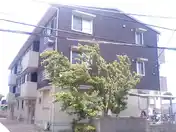メイプル