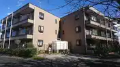 メイプル高品