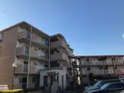 フレア・ウィング林