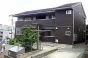 チェリーブロッサム