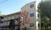 ドミール稲城