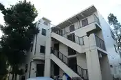 パルデンスマグノリア