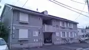 コスモコート