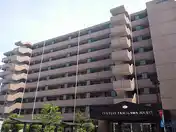 セントレー玉川上水