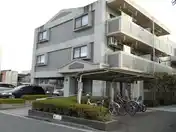チェリーアベニュー