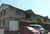 シャルマン林A