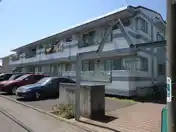 ヘーゼル ショウナン ワン