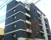 ツリーハウス
