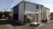 クリサンテーム