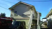 グリーンハイムB