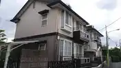 メゾネート芝