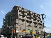 URBAN TERRACE