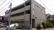 ゴールドワンコート