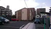 パルムドール