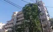 氷川台ハイム