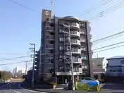 リベラル綾瀬