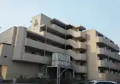 TOP片倉No.1