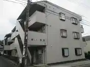 フローラキクA