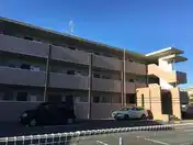 ブラウニーココ S