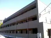 アンプルールフェールドリーミ