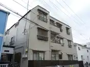 秋桜林