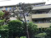 ホーマットシャロン