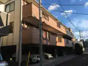 エバーグリーン