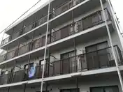 ステラマリス