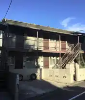 スーズカエデ