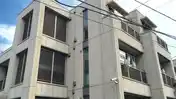 パウロニア99