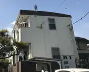 パインコート