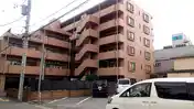 グリーンミユキ朝日