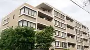 トロン・ド・ラシーヌ
