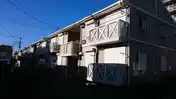 メゾンラフォーレC