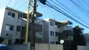 アネシス国立