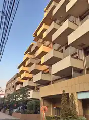 アデニウム武蔵小山