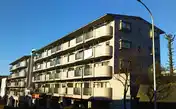 ラリーグラス