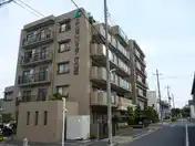 エンゼルピュア竹の塚