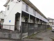 サンフラワーN