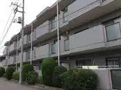パインビレッジ