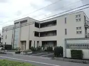 ライトコート曲本