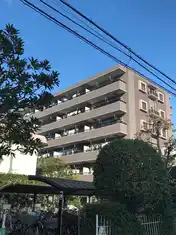 エバーグリーンコート